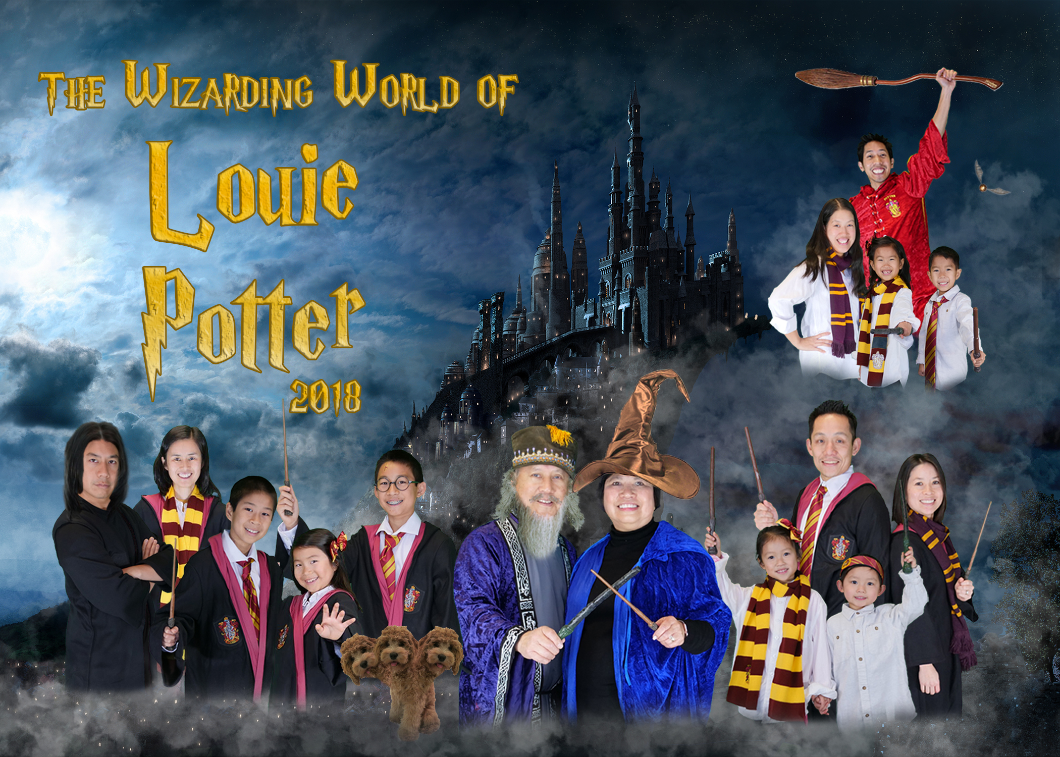 The Wizarding World of Louie Potter 2018